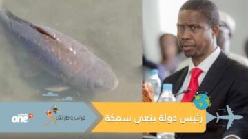 رئيس دولة ينعى سمكة ومحامون يجهزون وصيتها وحديث عن جنازة لها فما قصتها؟
