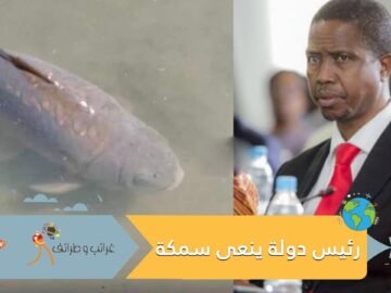 رئيس دولة ينعى سمكة ومحامون يجهزون وصيتها وحديث عن جنازة لها فما قصتها؟