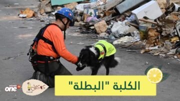 فلاش التي أعادت نبض بيروت.. قصة الكلبة التشيلية التي اكتشفت ضحايا تحت الأنقاض