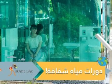 دورات المياه العامة العجيبة.. شفافة بالكامل وتسمح لك برؤية ما بداخلها من الخارج
