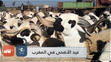 المغرب.. إطلاق دليل للتدابير الصحية والوقائية خلال عيد الأضحى