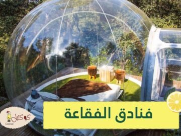 هل تبحث عن سياحة آمنة للهروب من كورونا؟.. تعرف إلى فنادق الفقاعة