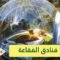 هل تبحث عن سياحة آمنة للهروب من كورونا؟.. تعرف إلى فنادق الفقاعة