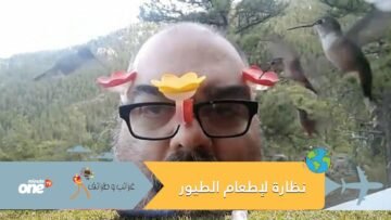 محب للطبيعة يصنع نظارة مزودة بأطباق لإطعام طائر الطنان