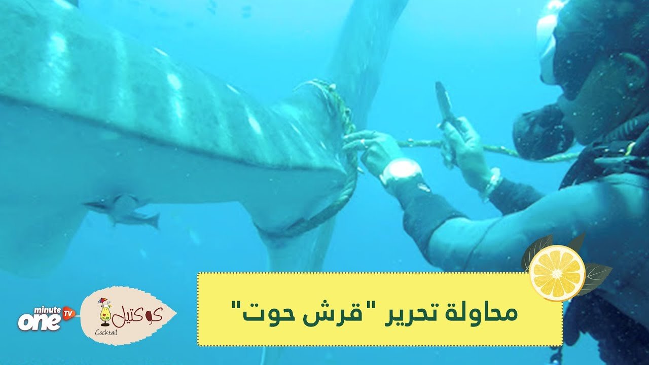 التحميل المسبق صورة