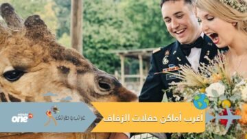 حفل زفاف بموكب جنازة.. تعرف على أغرب الأماكن للاحتفال بالزواج