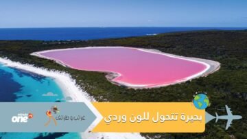 بحيرة شهيرة في الهند تتحول إلى اللون الوردي.. ما السبب؟