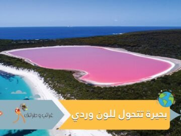 بحيرة شهيرة في الهند تتحول إلى اللون الوردي.. ما السبب؟