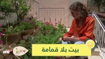 بيت بلا قمامة.. فتاة فلسطينية تعيد تدوير كل شيء