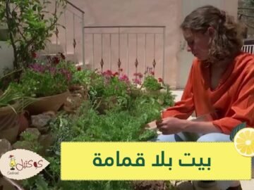 بيت بلا قمامة.. فتاة فلسطينية تعيد تدوير كل شيء
