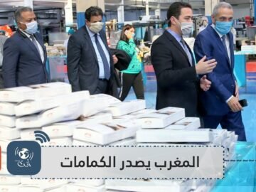 بينها الجزائر والسعودية.. المغرب صدر أكثر من 18 مليون كمامة لـ11 دولة