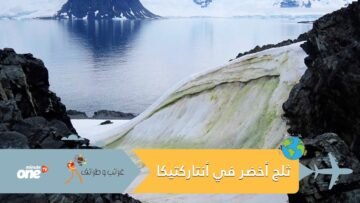 ظهور نادر للثلج الأخضر في أنتاركتيكا