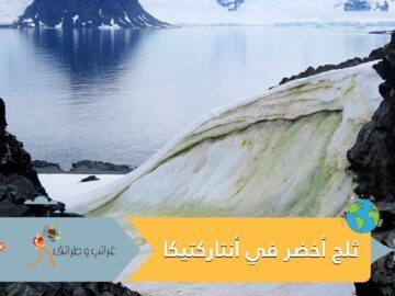 ظهور نادر للثلج الأخضر في أنتاركتيكا