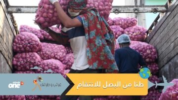 ردا على تسببه ببكائها… صينية ترسل طنا من البصل لحبيبها