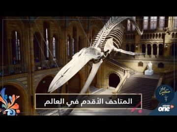 أقدم متحف في العالم.. عربي