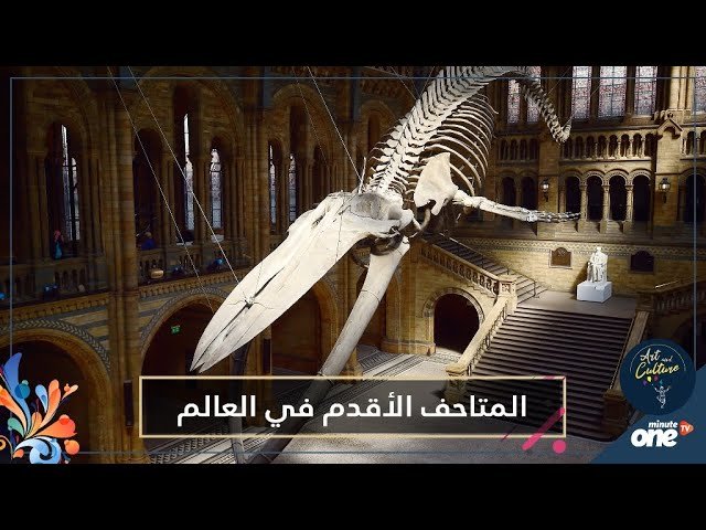 التحميل المسبق صورة