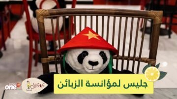 دمية باندا.. خير جليس في مطعم تايلندي يطبق التباعد الاجتماعي