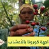 السكان الأصليون في البرازيل يواجهون فيروس كورونا بالأعشاب