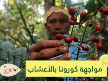 السكان الأصليون في البرازيل يواجهون فيروس كورونا بالأعشاب