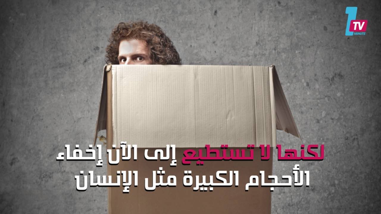 التحميل المسبق صورة