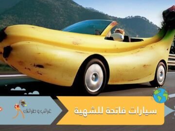 شاهد.. سيارات فاتحة للشهية ابتعد عنها في نهار رمضان