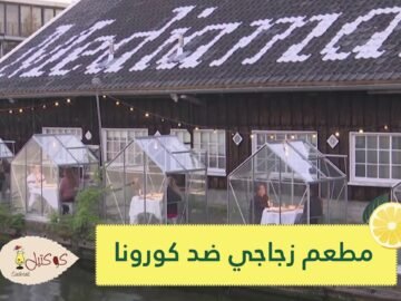 للوقاية من كورونا.. مطعم يستقبل زبائنه في أكشاك زجاجية