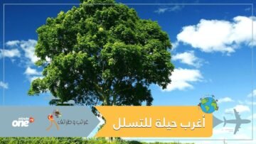 أغرب حيلة للتسلل وقت حظر التجول رجل يتنكر على هيئة شجرة!