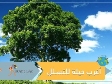 أغرب حيلة للتسلل وقت حظر التجول رجل يتنكر على هيئة شجرة!