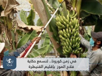 في زمن كورونا.. لنسمع حكاية  فلاح الموز  بإقليم القنيطرة