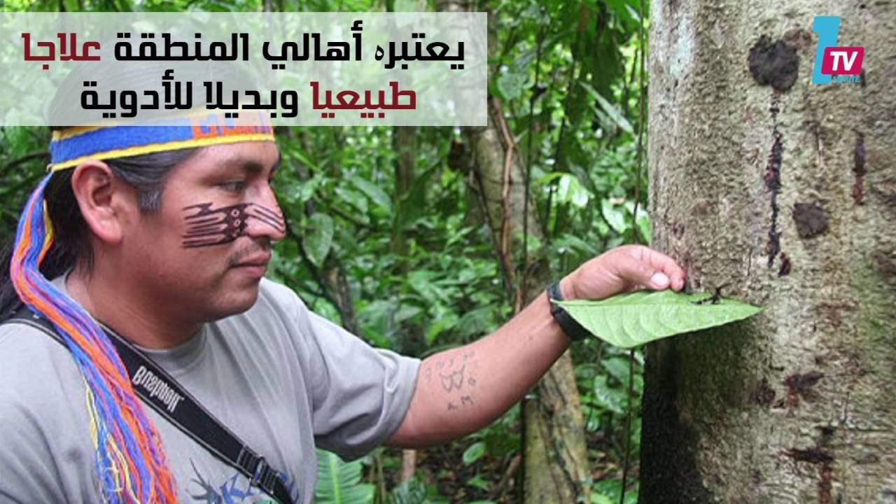 التحميل المسبق صورة
