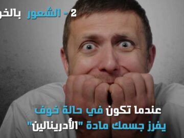 الكلاب تشعر بأمراضكم وتكتشف السرطان مبكرًا