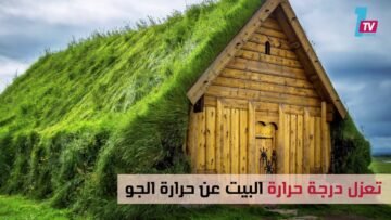 جمال إسكندينافيا..منازل تكسوها الأعشاب والنباتات
