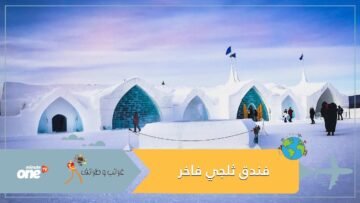 ضم 15 جناحا فاخرا .. فندق ساحر شيد بالكامل من الثلج