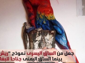 فنان إيطالي يبدع في تحويل جسد امرأة إلى ببغاء