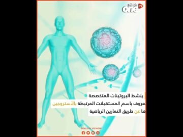 علماء أمريكيون على وشك التوصل لعقار يغنيك عن الرياضة