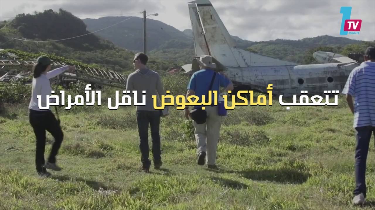 التحميل المسبق صورة