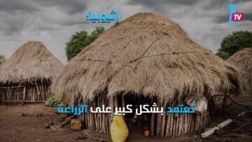 تغيرات المناخ تهدد المصدر الأول لغداء البشرية