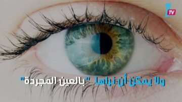 شركاؤك في السكن لكنك لا تراهم