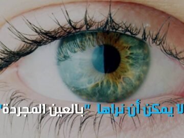 شركاؤك في السكن لكنك لا تراهم