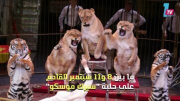 أول مروض في العالم يمشي على رجلين اصطناعيتين