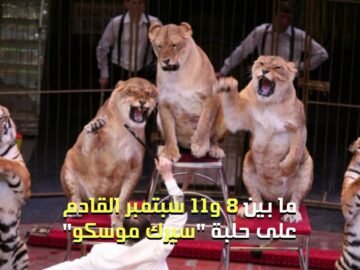 أول مروض في العالم يمشي على رجلين اصطناعيتين