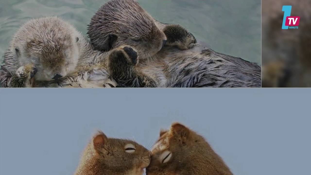 التحميل المسبق صورة