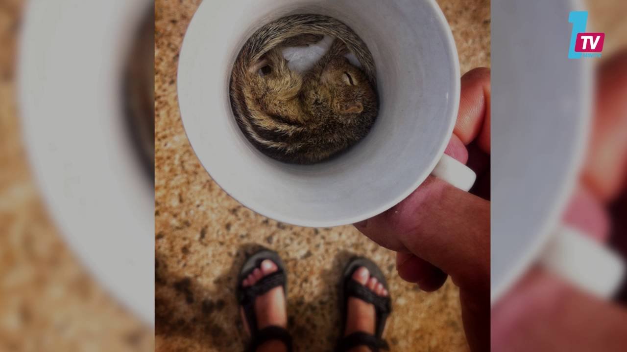 التحميل المسبق صورة