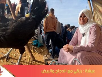 عيشة : رزقي مع الدجاج والبيض