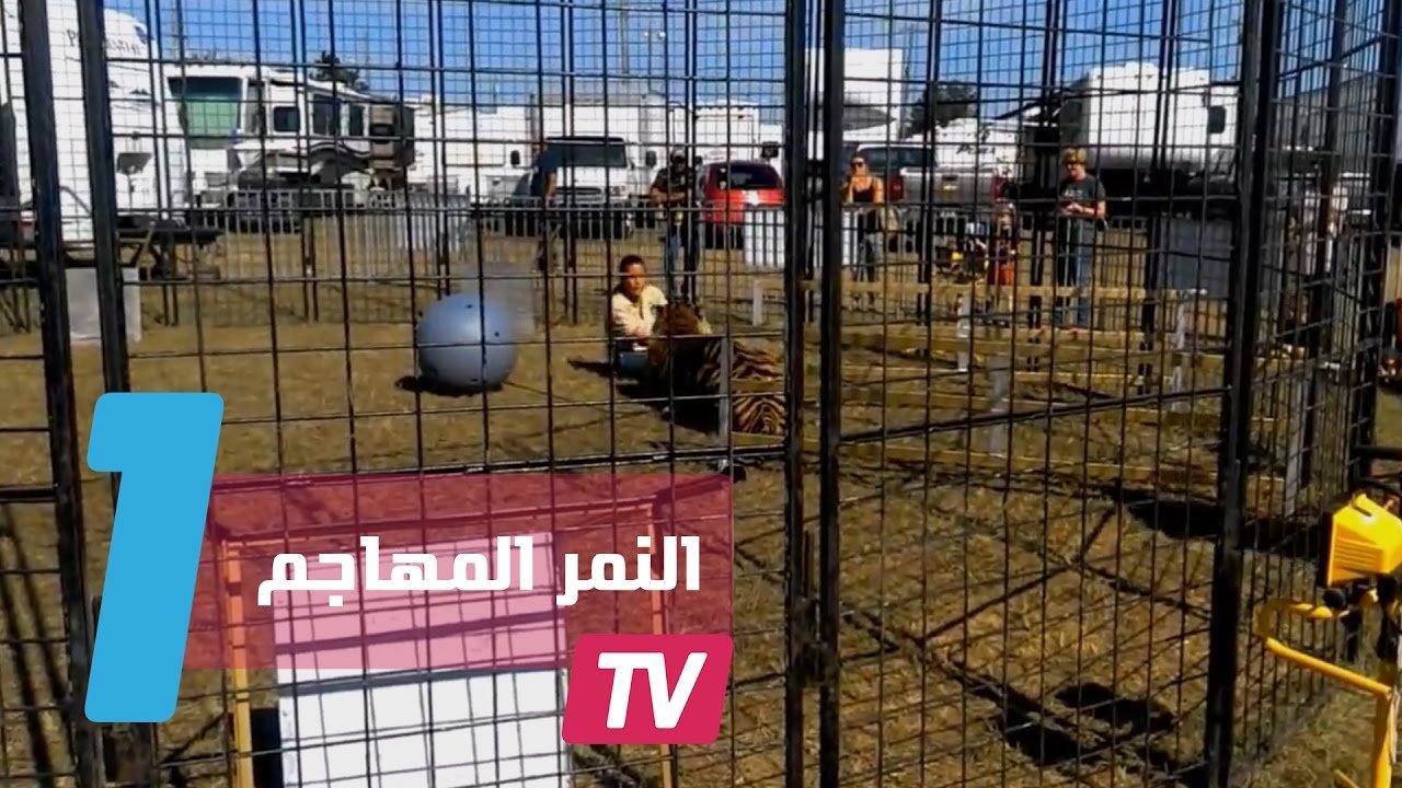 التحميل المسبق صورة