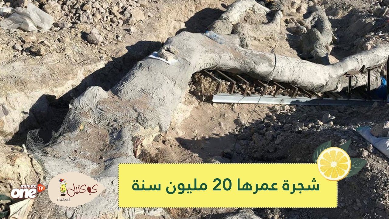 التحميل المسبق صورة