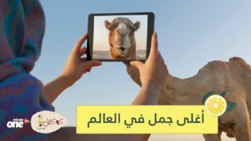 بسعر 200 مليون ريال.. شاهد أغلى جمل في العالم