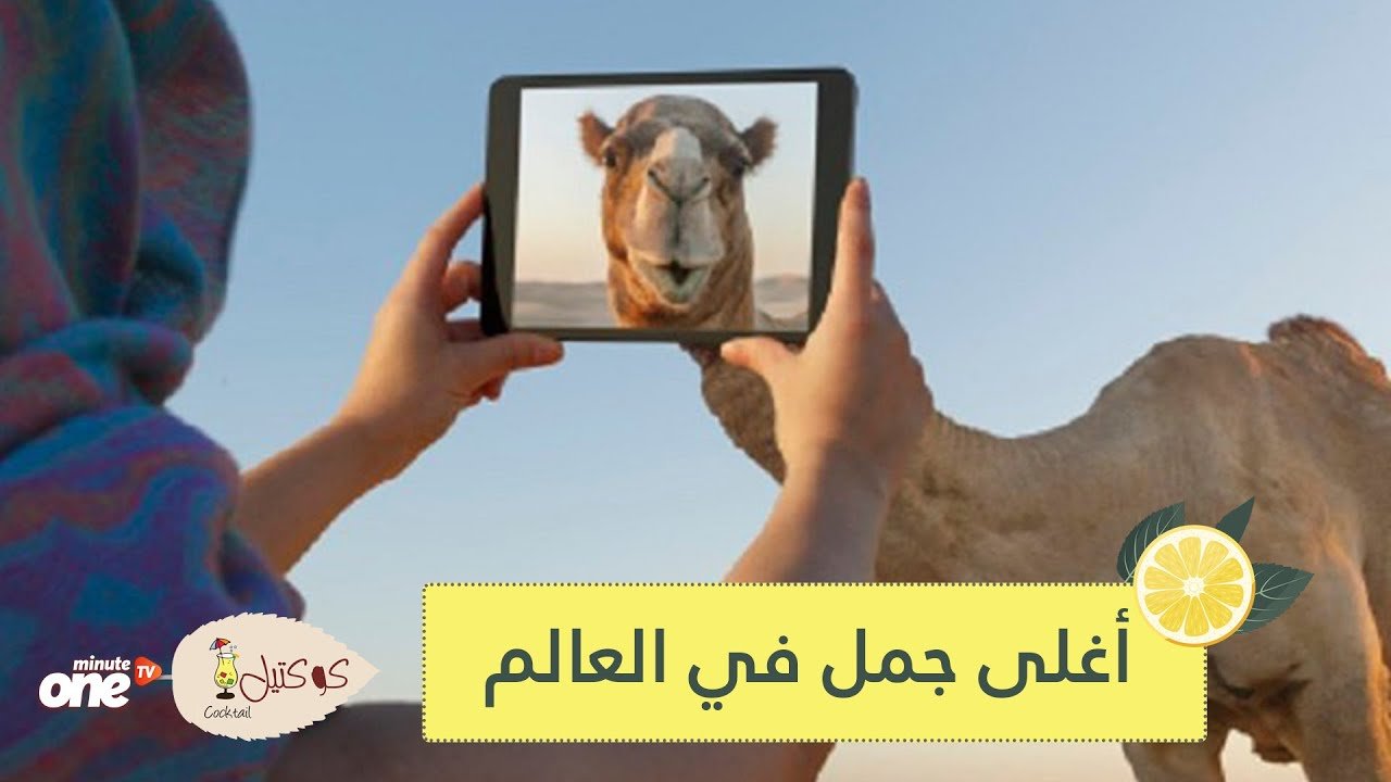 التحميل المسبق صورة