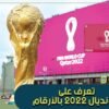 220 مليار يورو تكلفة تنظيم المونديال..تعرف على مونديال 2022 بالأرقام