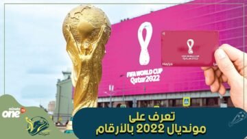 220 مليار يورو تكلفة تنظيم المونديال..تعرف على مونديال 2022 بالأرقام